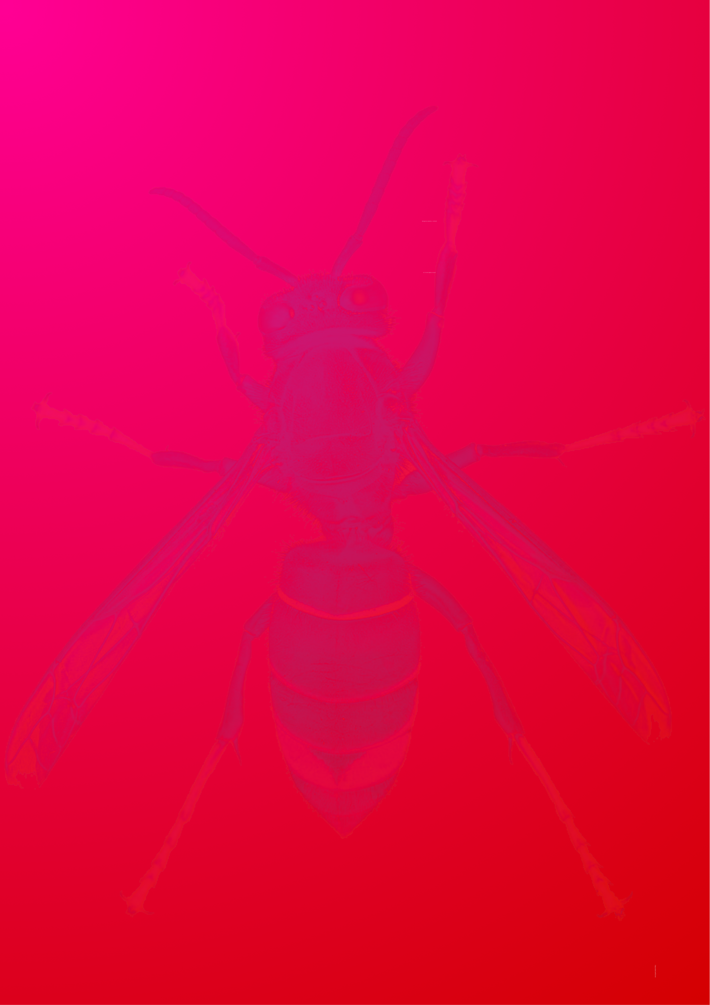 Neobiota - Neozoen 26. Oktober 2025